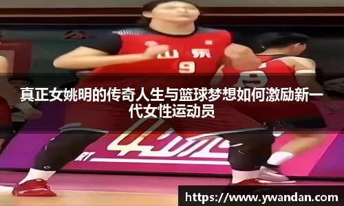 OB电竞官方网站