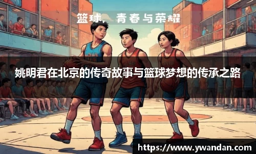 OB电竞官方网站